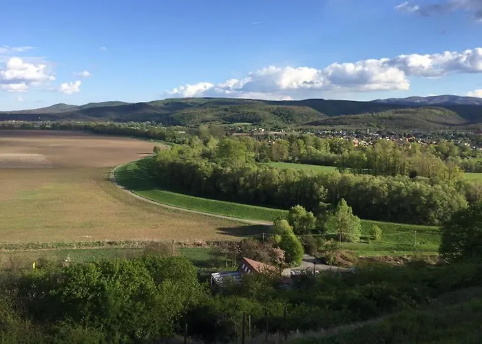 招待所 Istvan Pince A