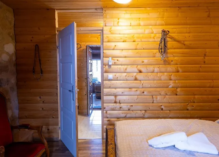 招待所 Istvan Pince A *